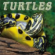 Cover of: Turtles 2002 Wall Calendar