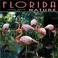 Cover of: Florida Nature 2002 Wall Calendar