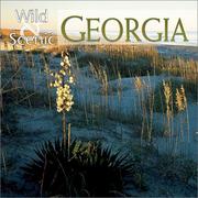 Cover of: Wild & Scenic Georgia 2002 Wall Calendar