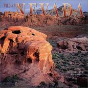 Cover of: Wild & Scenic Nevada 2002 Wall Calendar by Jeff Gnass