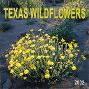 Cover of: Texas Wildflowers 2002 Wall Calendar