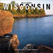 Cover of: Wild & Scenic Wisconsin 2002 Wall Calendar by Terry Donnelly