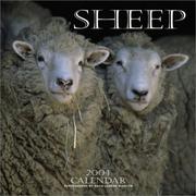 Cover of: Sheep 2004 Calendar by David Lorenz Winston
