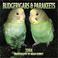 Cover of: Budgerigars & Parakeets 2004 Calendar