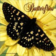 Cover of: Butterflies 2004 Calendar