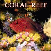 Cover of: Coral Reef 2004 Calendar by Norbert Wu