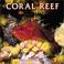 Cover of: Coral Reef 2004 Calendar