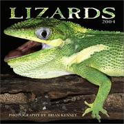 Cover of: Lizards 2004 Calendar