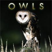 Cover of: Owls 2004 Calendar | John Hendrickson