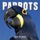 Cover of: Parrots 2004 Calendar