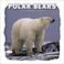 Cover of: Polar Bears 2004 Calendar