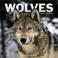 Cover of: Wolves 2004 Mini Calendar