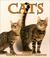 Cover of: Cats Weekly 2004 Calendar