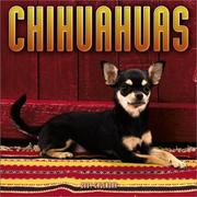 Cover of: Chihuahuas 2004 Calendar