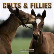 Cover of: Colts & Fillies 2004 Calendar by Jim Arndt