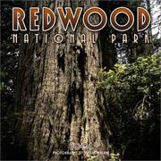 Cover of: Redwood National Park 2004 Calendar