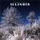Cover of: Wild & Scenic Illinois 2004 Calendar