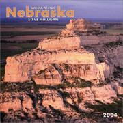 Cover of: Wild & Scenic Nebraska 2004 Calendar