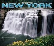 Cover of: Wild & Scenic New York Deluxe 2004 Calendar by Carr Clifton