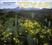 Cover of: Wild & Scenic Texas Deluxe 2004 Calendar by David Muench