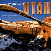 Cover of: Wild & Scenic Utah 2004 Calendar | Steve Mulligan