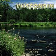 Cover of: Wild & Scenic Wisconsin 2004 Calendar by Terry Donnelly