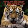 Cover of: Tigres/Tigers 2004 Calendar