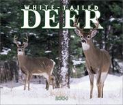 Cover of: White-Tailed Deer Deluxe 2004 Calendar