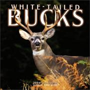 Cover of: White-Tailed Bucks 2004 Calendar