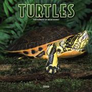 Cover of: Turtles 2005 Calendar