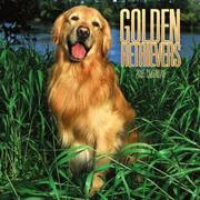 Cover of: Golden Retrievers 2005 Mini Wall Calendar | BrownTrout Publishers
