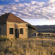 Cover of: Ghost Towns 2006 Calendar (Regional Places Wall Calendars) by Tom Till
