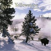 Cover of: Yellowstone National Park 2006 Calendar (Regional Places Wall Calendars) by Tim Fitzharris