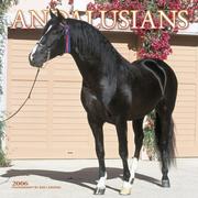 Cover of: Andalusians 2006 Pet Calendar (Horses Wall Calendars)