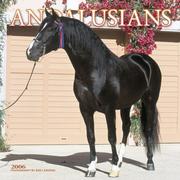 Cover of: Andalusians 2006 Pet Calendar (Horses Wall Calendars) by Bob Langrish