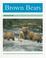 Cover of: Brown Bears (PM Animal Facts: Animals in the Wild)