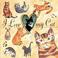 Cover of: I Love My Cat