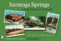 Cover of: Saratoga Springs