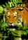 Cover of: Tigers