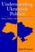 Cover of: Understanding Ukrainian Politics