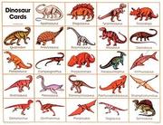 Cover of: Dinosaur Cards