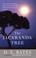 Cover of: The Jacaranda Tree