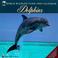 Cover of: Cal 99 World Wildlife Fund Dolphins Calendar (World Wildlife Fund (Calendars))