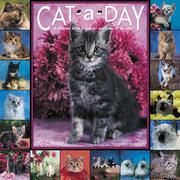 Cover of: Cat-A-Day