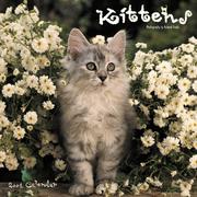 Cover of: Kittens