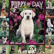 Cover of: Puppy-A-Day