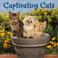 Cover of: Captivating Cats 2004 12-month Wall Calendar