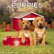 Cover of: Puppies 2004 12-month Wall Calendar