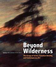 Cover of: Beyond Wilderness: The Group of Seven, Canadian Identity, and Contemporary Art (Arts Insights Series)