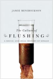 The Culture of Flushing by Jamie Benidickson